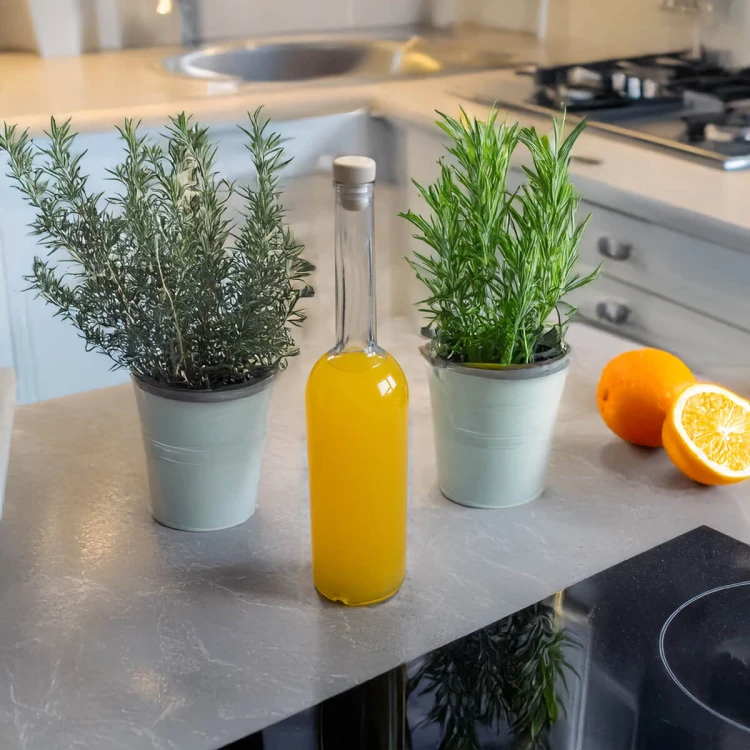 Butelka z dluga szyjka Fenice 500ml Bimberek