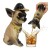 butelka ceramiczna pies Chihuahua 350ml bimberek prezent