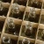 20 x Butelka Daniels w kratownicy Bimberek