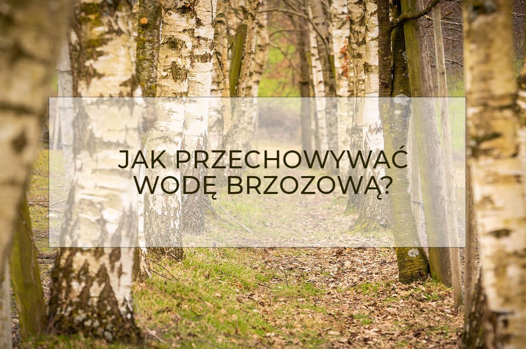 Woda brzozowa, jak przechowywać, butelki